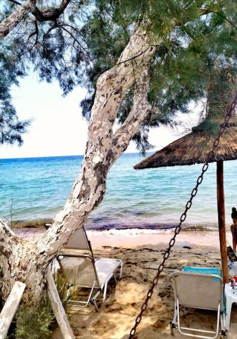 Apartment With 3 Rooms Just 1 Min From The Beach And Free Public Parking Peraía Dış mekan fotoğraf